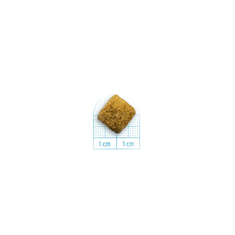 Forza10 Active Vet Diet Dog Adult Intestinal Colon Fase 2 Agnello 1,5 kg