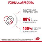 Royal Canin Dog Mini Puppy 800 gr