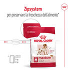Royal Canin Dog Medium Adult 15 kg 
