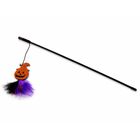 Leo Pet Cannetta per gatti Halloween