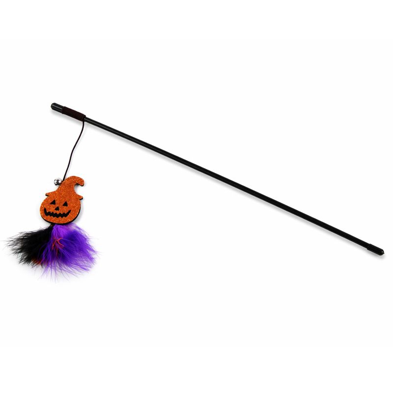 Leo Pet Cannetta per gatti Halloween