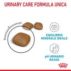 Royal Canin Cat Adult Urinary Care 2 kg