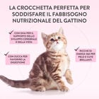 Schesir Born Carnivore Kitten Pollo con Uovo 1,25 kg