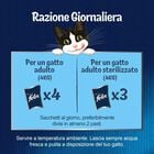 Felix Le Ghiottonerie Cat Le Variet&agrave; 12 x 85 gr