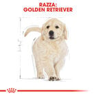 Royal Canin Dog Puppy Golden Retriver 3 kg