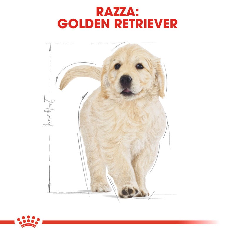 Royal Canin Dog Puppy Golden Retriver 3 kg