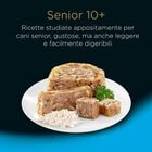 Cesar Dog Senior VS Vitello e Riso 150 gr