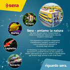 Sera Florenette 24 Compresse