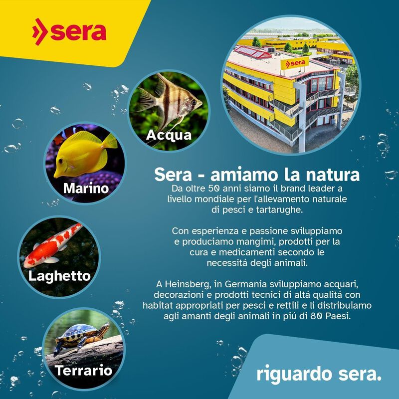 Sera Florenette 24 Compresse