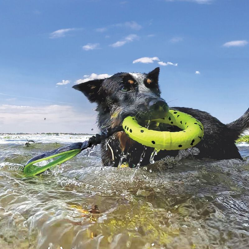 Kong Reflex Tug gioco cane 