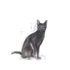 Royal Canin Cat Adult Sterilised 400 gr