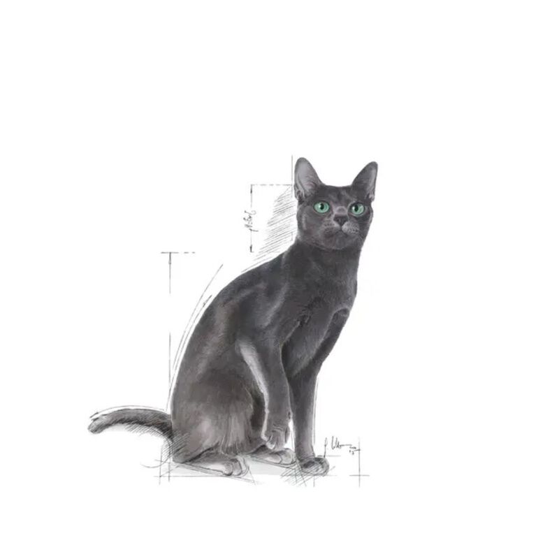 Royal Canin Cat Adult Sterilised 400 gr