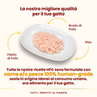 Almo Nature HFC Natural Cat Filetto di Pollo 70gr