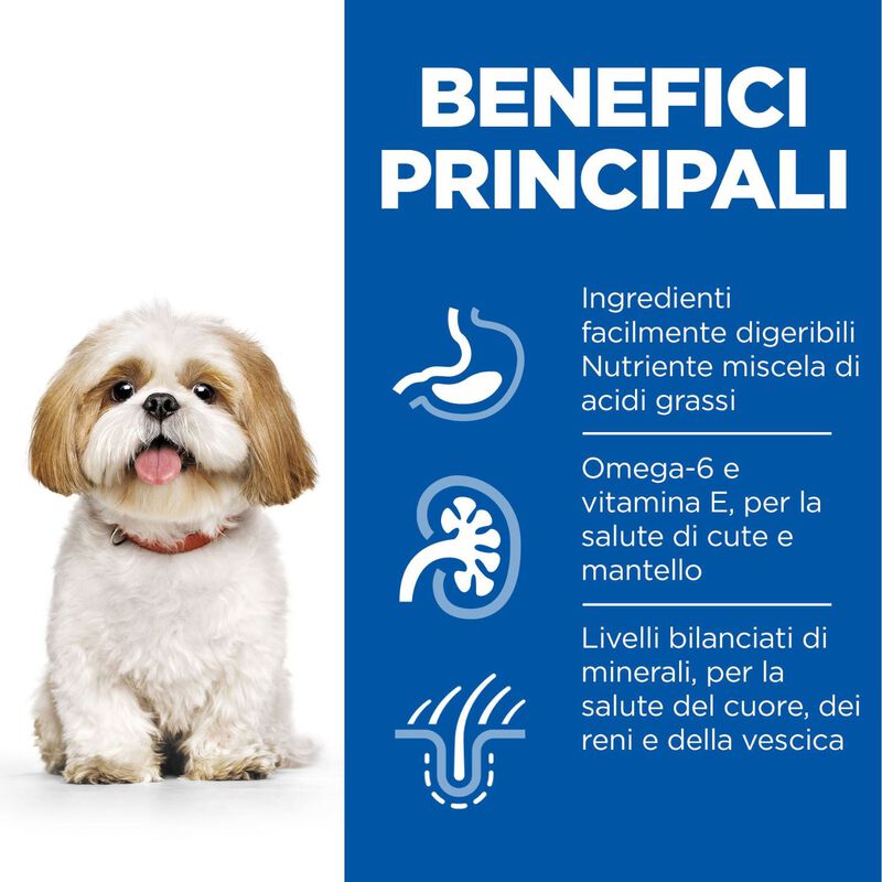 Hill's Science Plan Dog Small & Mini Mature Adult 7+ al Pollo 1,5 kg