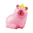 Leo Pet Capibara Mistery Box