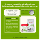 Almo Nature Daily Dog Adult con manzo 380gr