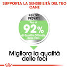 Royal Canin Dog Mini Adult e Senior Digestive Care 1 kg 