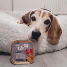 Wow Dog Adult Agnello con Zucca e Ortica 150 gr