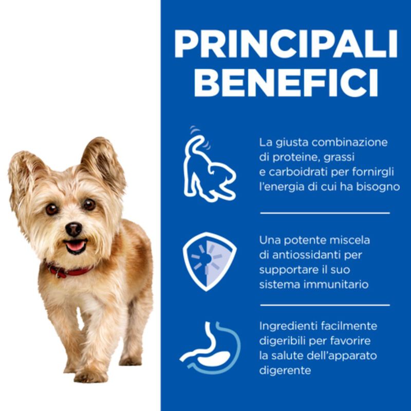 Hill's Science Plan Dog Mature Adult 7+ Small & Mini Mousse Manzo 200 gr
