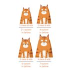Petreet Cat Kitten Vellutate Salmone 60 gr