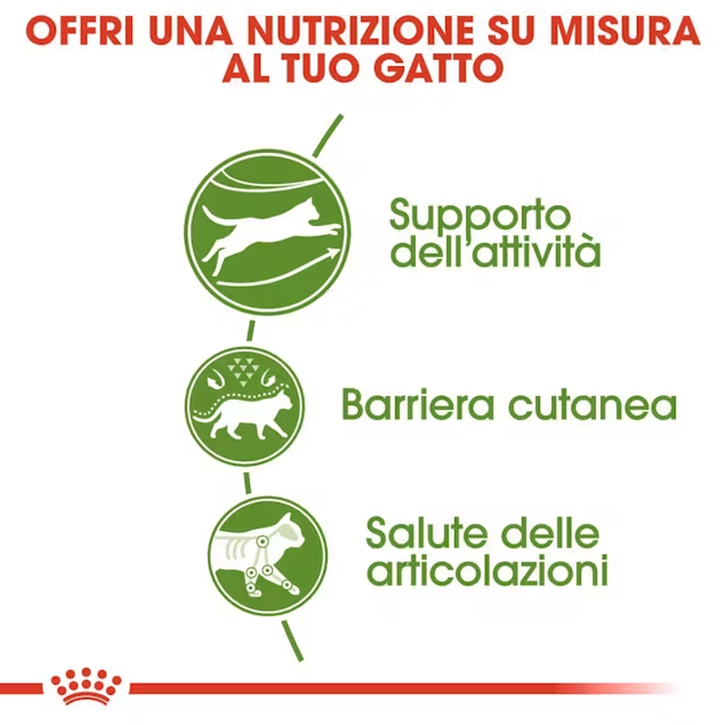 Royal Canin Cat Adult Outdoor 400 gr