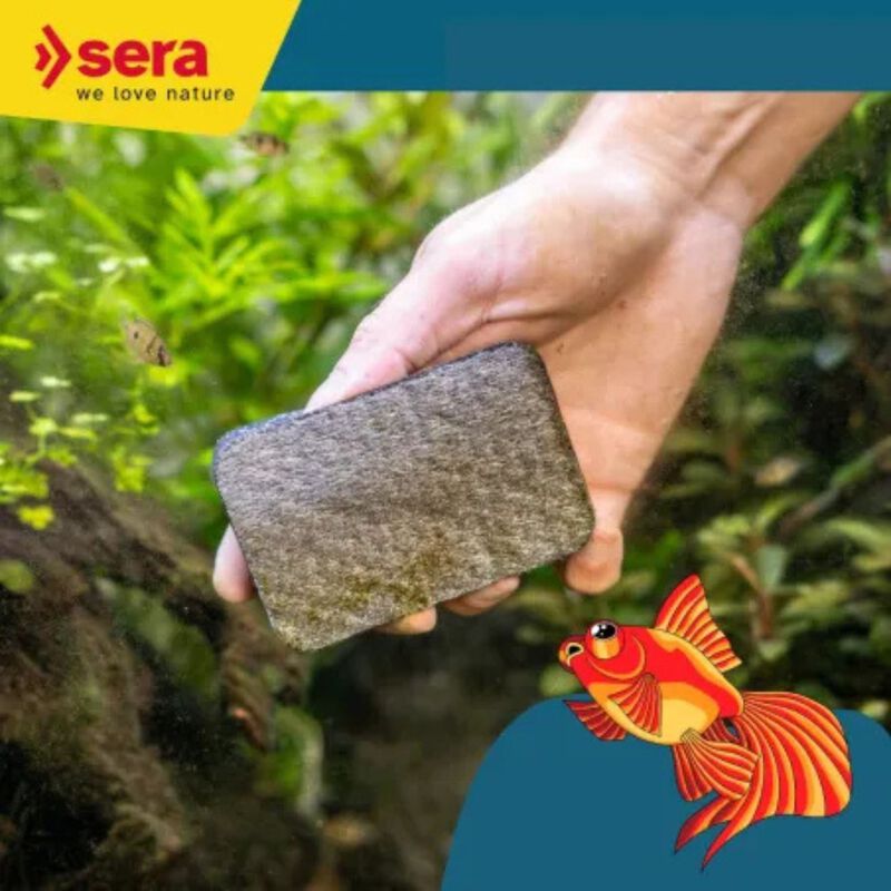 Sera Sponge Hard 2 pz