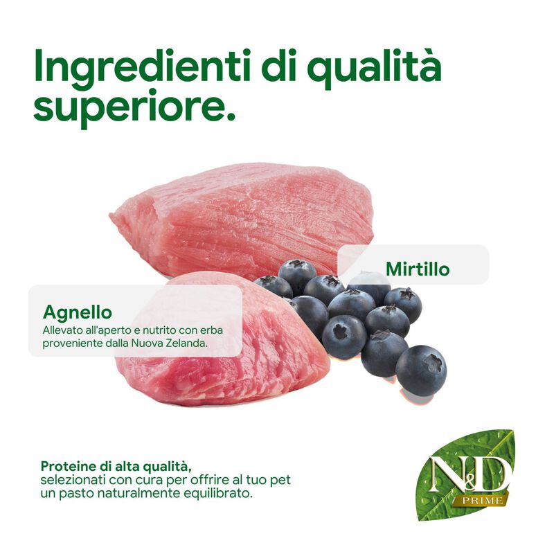 N&D Farmina Prime Dog Adult Medium & Maxi Agnello & Mirtillo 12 kg