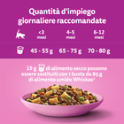 Whiskas Junior croccantini con Pollo 300 gr