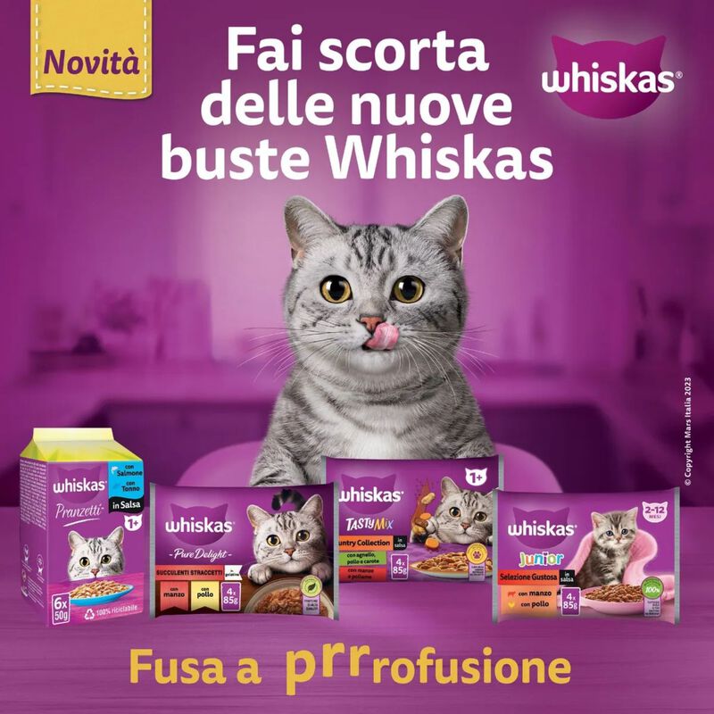 Whiskas Kitten Pranzetti in Salsa con Pollo 6 x 50 gr