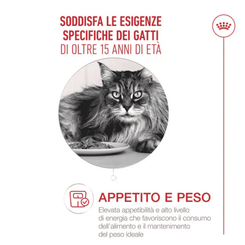 Royal Canin Cat Senior 15+ anni Airlift Mousse 85gr