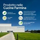 N&D Farmina Pumpkin Dog Adult Mini Agnello e Mirtillo 7 kg