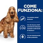 Hill's Prescription Diet Dog z/d Bocconcini 370 gr