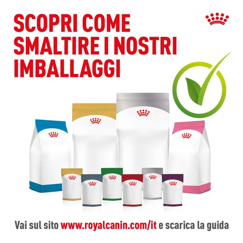 Royal Canin Veterinary Diet Cat Renal 400 gr
