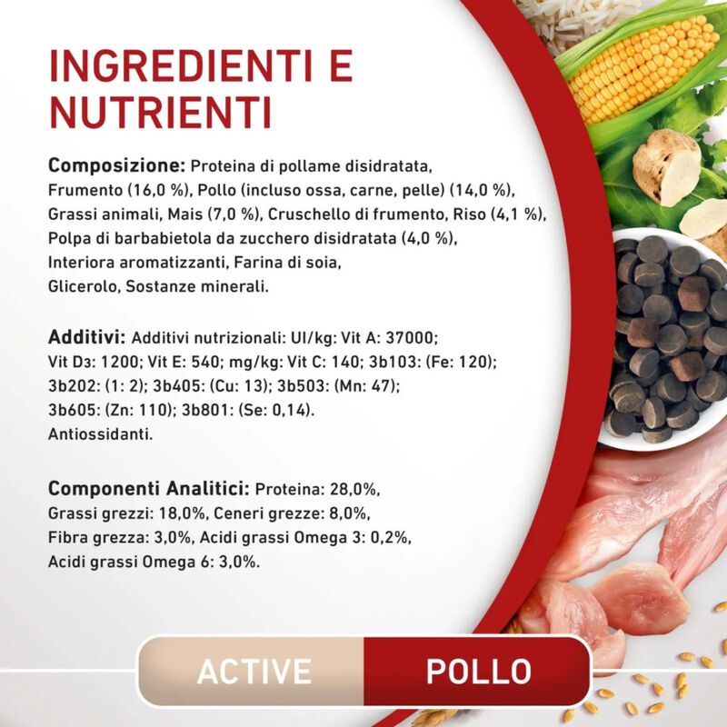 Purina One Dog Mini Active con Pollo e Riso 800 gr