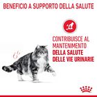 Royal Canin Cat Adult Urinary Care 2 kg