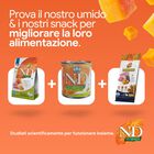 N&D Farmina Pumpkin Dog Adult Mini Cinghiale e Mela 800 gr