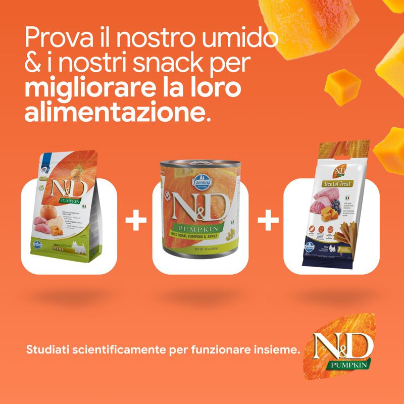 N&D Farmina Pumpkin Dog Adult Mini Cinghiale e Mela 800 gr