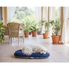 Petup Cuscino Tecnico Ovale Blu 65x45 cm