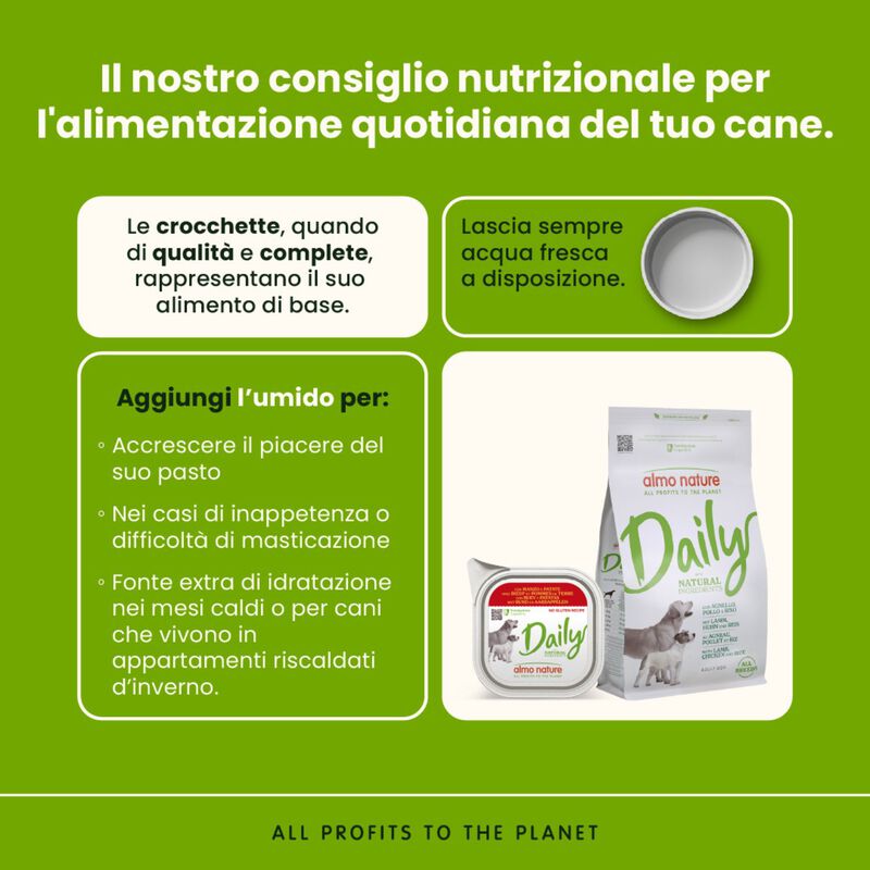 Almo Nature Daily Dog Adult Manzo e patate 100g