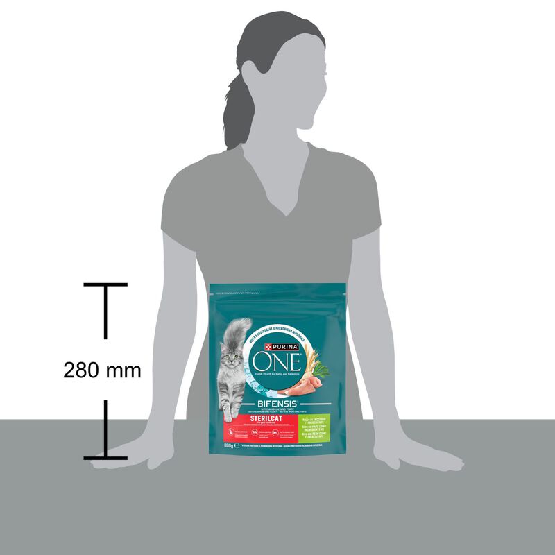Purina One Cat Adult Sterilised Tacchino e Frumento 800 gr