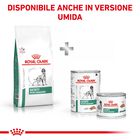 Royal Canin Veterinary Diet Dog Satiety Weight Management 1,5 kg