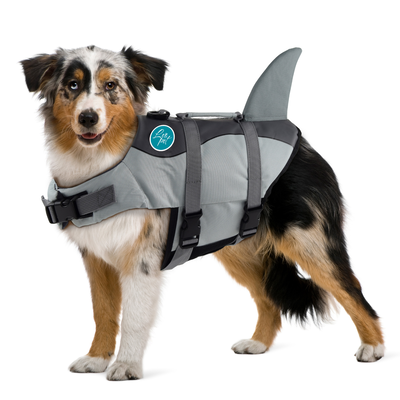 Leo Pet Giubbotto salvagente squalo M