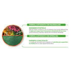Natural Trainer Daily Nutrition Dog Small&Toy con Manzo 2 kg