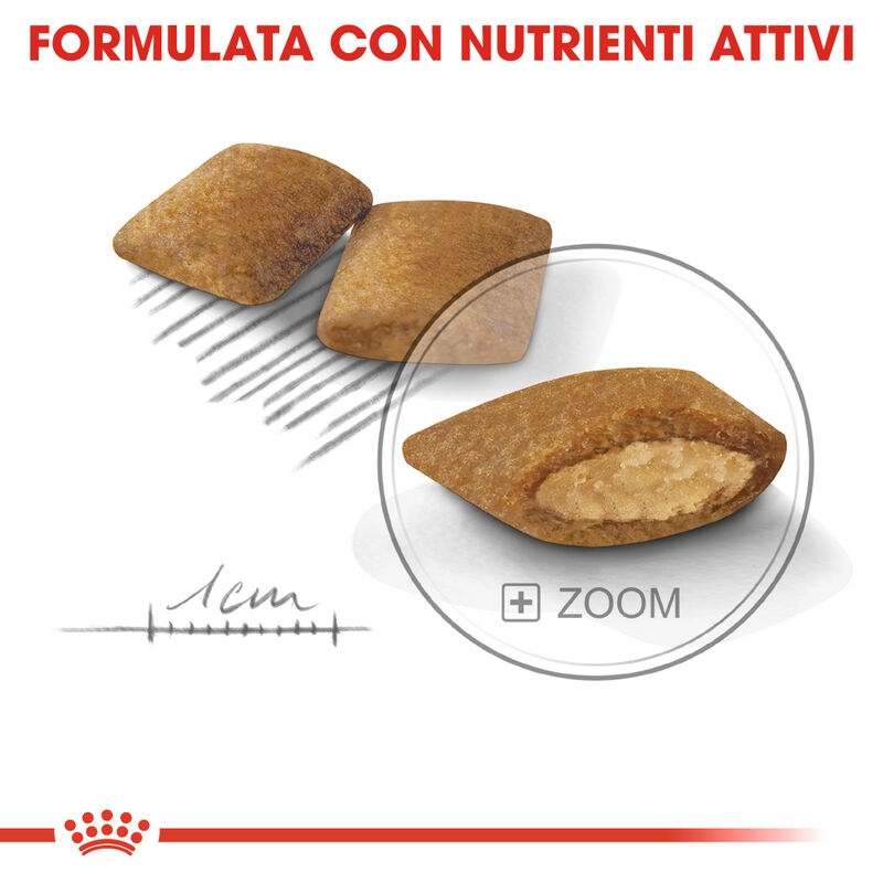 Royal Canin Dog Mini Adult e Senior Exigent 1 kg - Scad 23 Ottobre 2026
