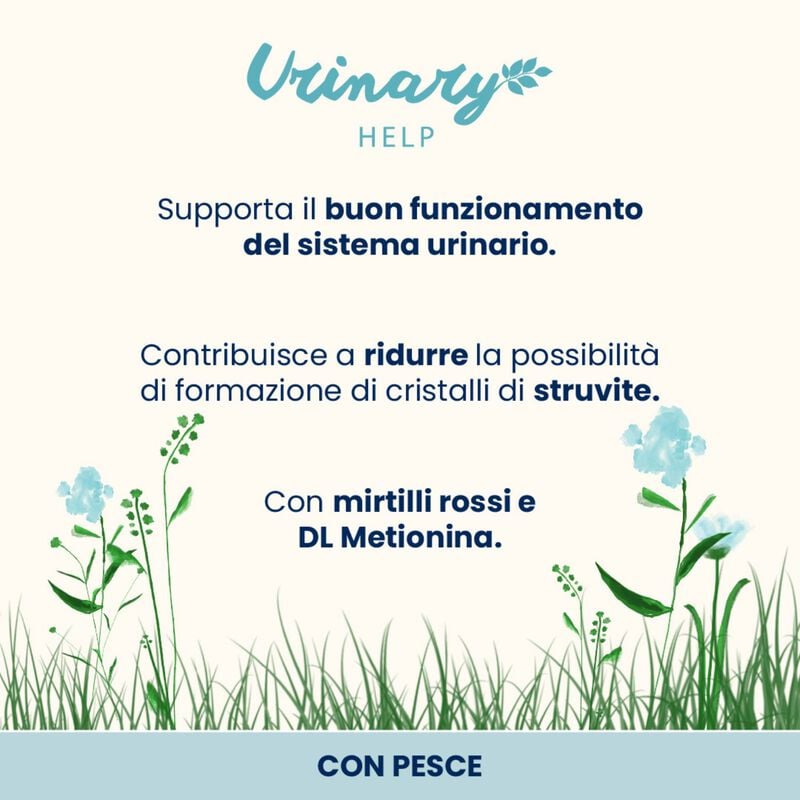 Almo Nature Cat Adult Urinary Help con Pesce 70gr