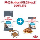 Royal Canin Cat Adult Urinary Care 2 kg