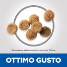 Hill's Science Plan Dog Senior Vitality Small & Mini Mature Adult 7+ al Pollo e Riso 1,5 kg 