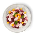 Terra Felis Kitten Pollo 70 gr