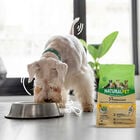 Naturalpet Premium Dog Senior Mini al Maiale 800 gr