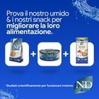 N&D Farmina Ocean Cat Adult Aringa & Arancia 1,5 kg